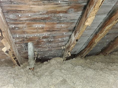 high moisture in house after installing metal roof|under metal roof condensation.